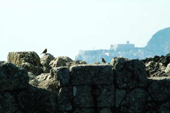 Porticciolo romano - Formia